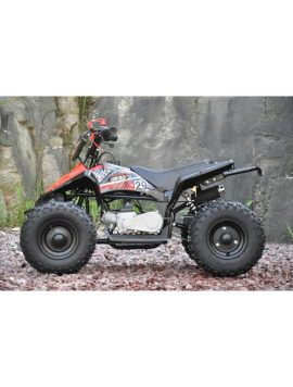 Mini ATV 50cc rød utgave to