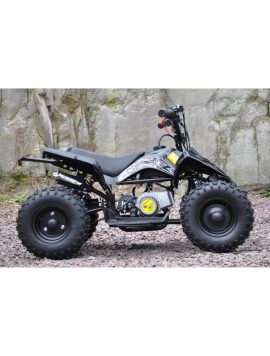Mini ATV 50cc svart utgave to