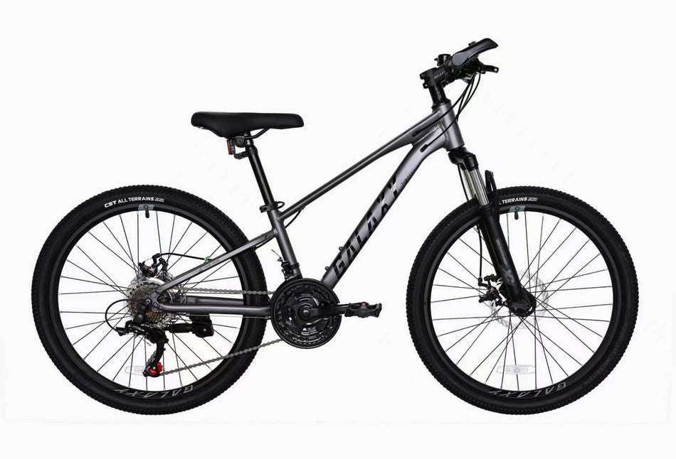 Barnesykkel Galaxy 24" MTB  gir
