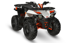 Barne Atv Kayo Au110