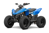 Linhai 110 Barne atv