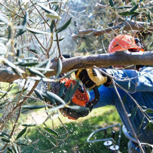 Echo CS-2511TESC Topphåndsag - 25 cm