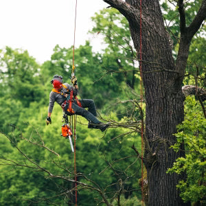 Echo CS-362TES Topphåndsag - 30 cm