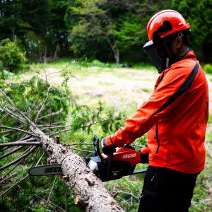 Echo DCS-3500 Batteri Motorsag - 35 cm