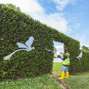 Echo HCA-2620ES-HD Stanghekksaks - 53.6 cm