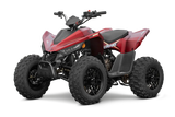 Linhai 110 Barne atv