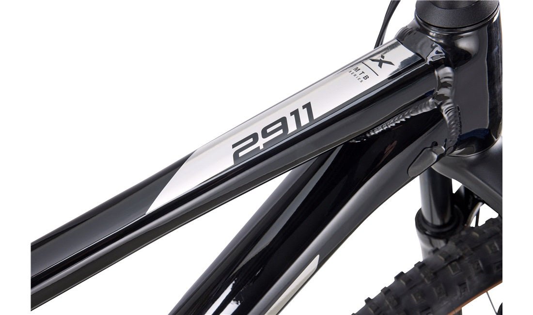 Mountainbike 2911 1X11 speed 46cm L - RX Sport