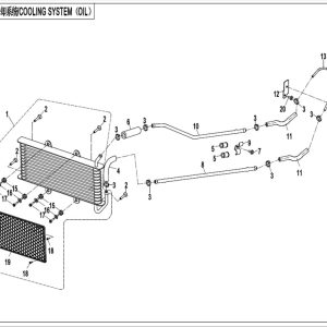 CF800-2_2014, COOLING SYSTEM(OIL)(RUSSIA) - (IP)