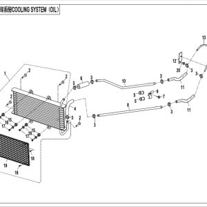 CF800-2_2015, COOLING SYSTEM(OIL)(RUSSIA) - (IP)