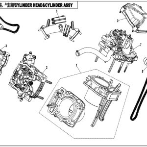CF800-2_2015, CYLINDER HEAD & CYLINDER ASSY - (IP)
