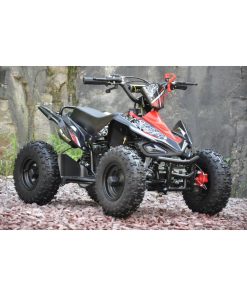 Mini ATV 50cc rød utgave to